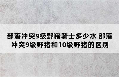 部落冲突9级野猪骑士多少水 部落冲突9级野猪和10级野猪的区别